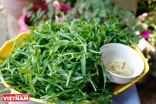 Về Quỳnh Nhai thưởng thức món “cỏ cố hương” của người Thái