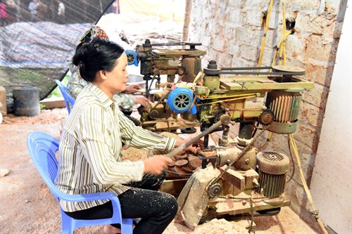 Tìm động lực cho hợp tác xã kiểu mới ở Hà Nội