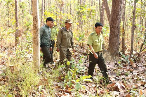 Công điện của Thủ tướng về tăng cường các biện pháp cấp bách phòng cháy, chữa cháy rừng