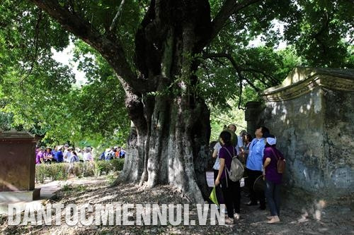 Làng cổ Phước Tích