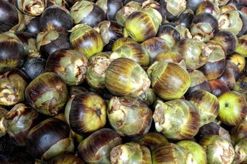 Đặc sản đường thốt nốt