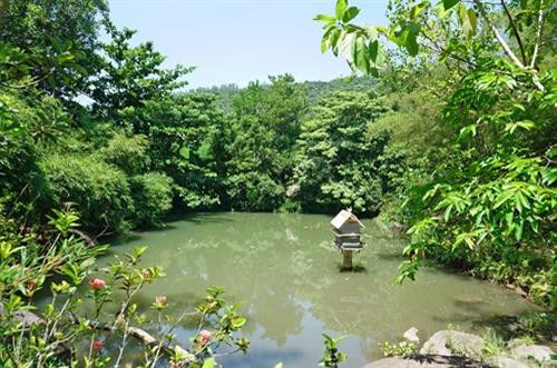 Thư thái với Sơn Trà Tịnh Viên