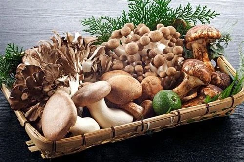 Những thực phẩm nên tránh khi bị loãng xương