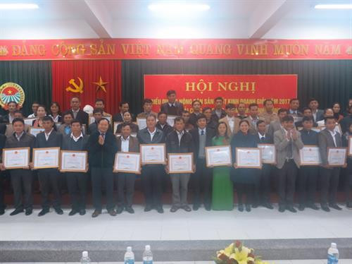 Quảng Bình biểu dương điển hình nông dân sản xuất kinh doanh giỏi