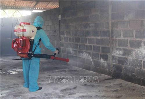 Bạc Liêu ban hành kế hoạch phòng, chống cúm gia cầm giai đoạn 2019 - 2025