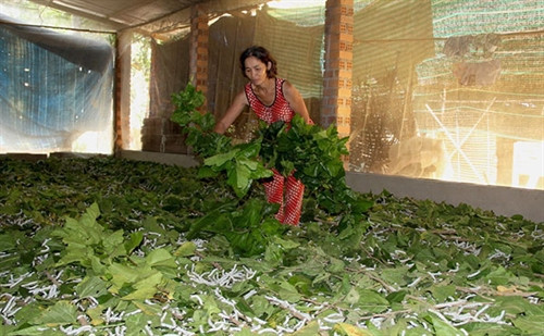 Đạ Huoai giảm nghèo bền vững