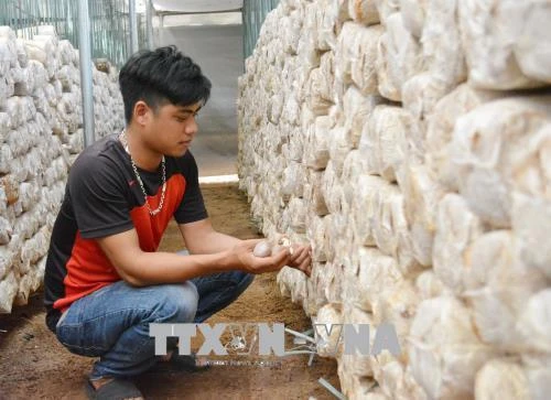 Đắk Lắk đồng hành cùng thanh niên lập thân, lập nghiệp