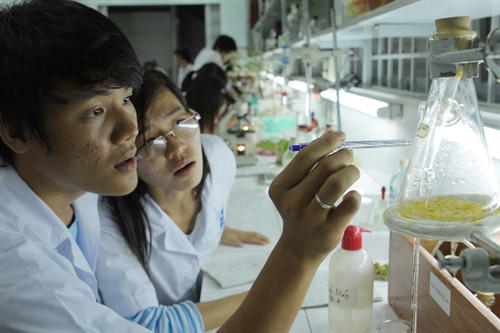 Đại học Huế giảm 50% học phí cho sinh viên các tỉnh miền Trung bị ảnh hưởng sự cố môi trường biển