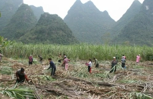 Tuyên truyền miệng - kênh truyền tải thông tin hiệu quả ở Phục Hòa