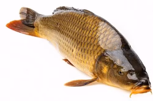 Pà mẳm - món ngon tròn vị của đồng bào Thái