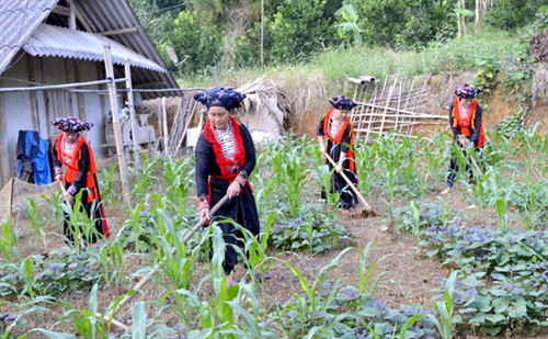 Chính sách trợ giúp pháp lý cho người nghèo, đồng bào dân tộc