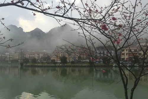 Quyến rũ Sa Pa