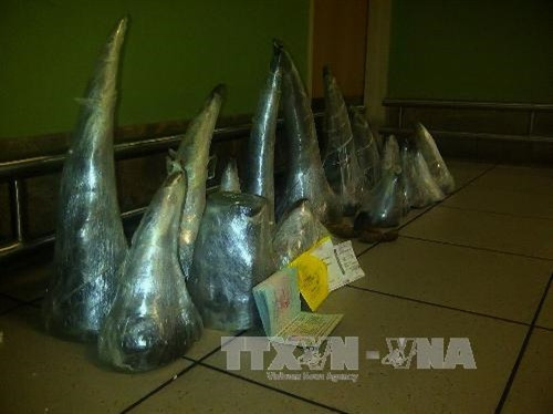 Tiếp tục đẩy mạnh tuyên truyền để chấm dứt sử dụng sừng tê giác ở Việt Nam