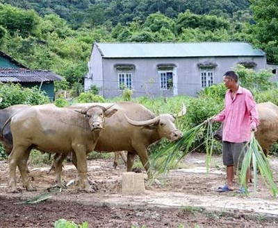 Cần có chính sách đặc thù hỗ trợ đồng bào dân tộc Mảng ở Lai Châu