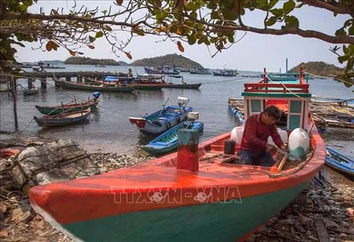 Kiên Giang tập trung phát triển kinh tế thủy sản bền vững