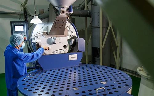 Gia Lai định hướng chế biến sâu cà phê trong giai đoạn hội nhập