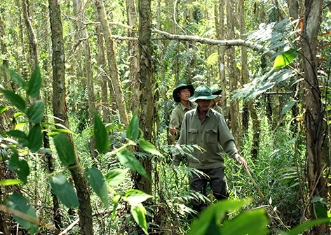Gian nan giữ rừng mùa hạn, mặn