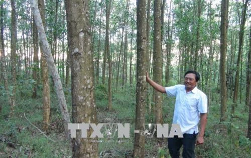 Cáp Quốc Hà - Tỷ phú trên vùng gò đồi hoang hóa