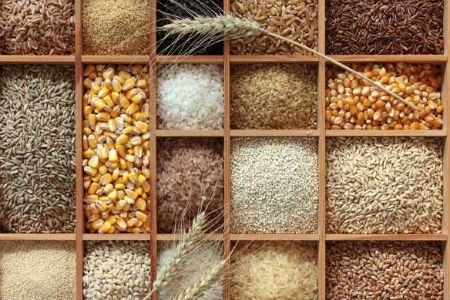 Các công nghệ sản xuất ngũ cốc trong tương lai