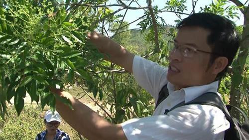 Kỷ niệm 64 năm Ngày Thầy thuốc Việt Nam: Người “đánh thức” tiềm năng cây thuốc Việt