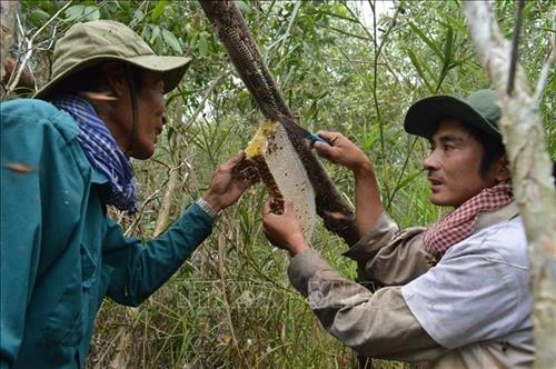 Cà Mau bảo vệ, phát huy giá trị di sản văn hóa phi vật thể