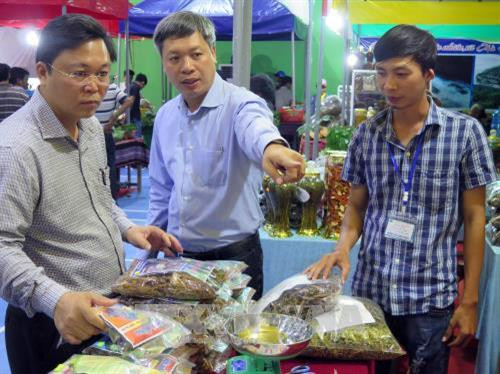 Lễ hội sâm Ngọc Linh tại Quảng Nam