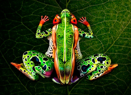 Body painting "phù phép" người mẫu thành động vật