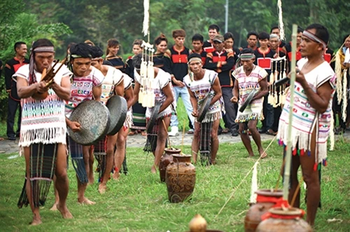 Người Mạ