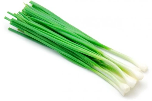 Kỹ thuật trồng hành lá