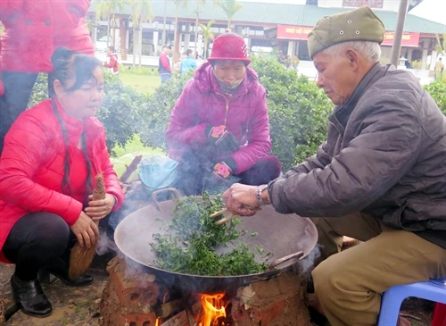 Thái Nguyên: Khai hội Hương sắc Trà Xuân năm 2016