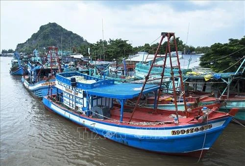 Năm 2019, tiếp tục hỗ trợ hệ thống quan sát tàu cá bằng công nghệ vệ tinh