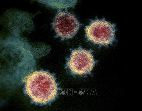 Dịch COVID-19: Nga giải mã thành công đầy đủ bộ gene của virus SARS-CoV-2