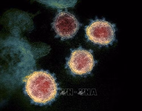 Dịch COVID-19: Nga giải mã thành công đầy đủ bộ gene của virus SARS-CoV-2