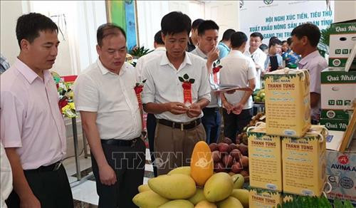 Sơn La xúc tiến, tiêu thụ xuất khẩu nông sản an toàn sang Trung Quốc