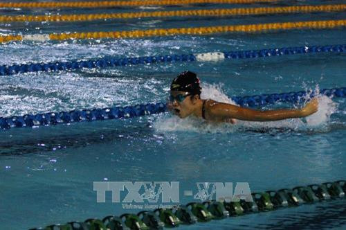 Kết thúc Giải Bơi – Lặn vô địch quốc gia năm 2017