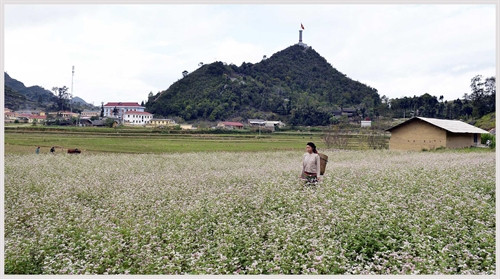 Thời tiết các khu vực trên cả nước chủ yếu ngày nắng, mưa nhỏ về đêm