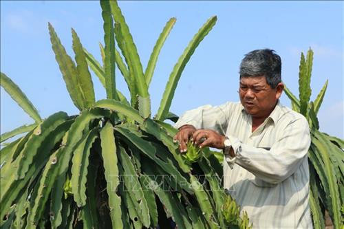 Cựu chiến binh Phan Văn Phụ phát huy bản lĩnh người lính Cụ Hồ trên vùng đất khó