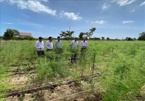 Ngành nông nghiệp: Tái cơ cấu để thích ứng