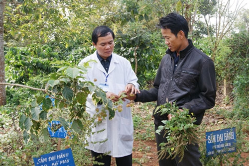 Đắk Nông: “Thầy tại chỗ, thuốc tại vườn”