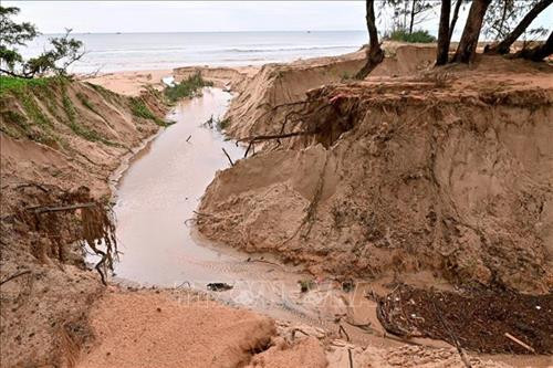 Khẩn trương khắc phục sự cố sạt lở nghiêm trọng tuyến đường ven biển ở Bình Thuận