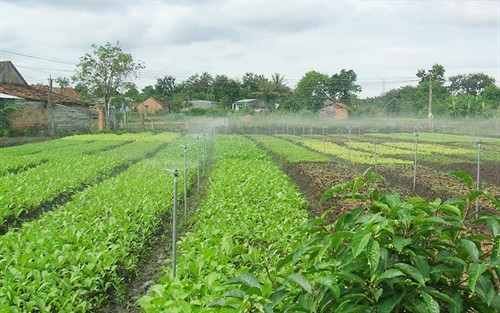 Tưới tiết kiệm, mô hình sản xuất nông nghiệp bền vững ở Đồng Nai