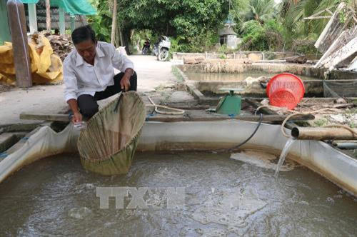 Phá thế độc canh, làm giàu trên vùng đất thuần nông