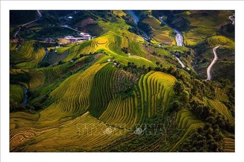 Khai mạc Festival dù lượn "Bay trên mùa vàng" năm 2019