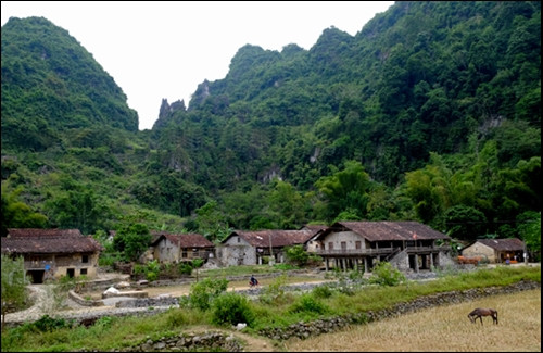 Nhà ở của người Tày Cao Bằng