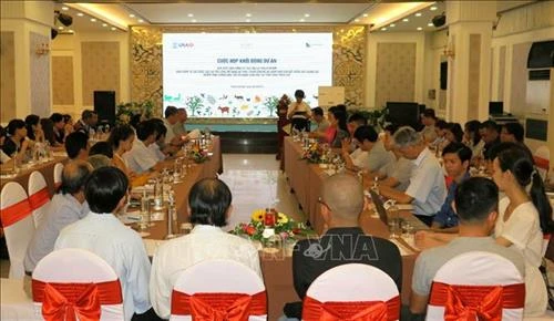 Thừa Thiên - Huế phát triển cây dược liệu và hàng thủ công mỹ nghệ tạo sinh kế cho người dân miền núi