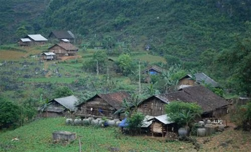 Hoa trên cao nguyên đá Lục Khu