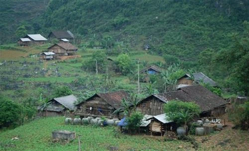 Hoa trên cao nguyên đá Lục Khu