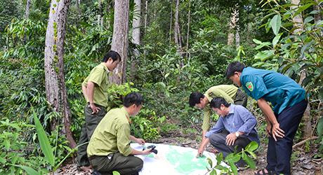 Huyện biên giới Ia H’Drai nỗ lực giữ rừng