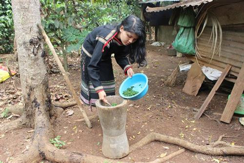 Cối giã trong đời sống của người Êđê