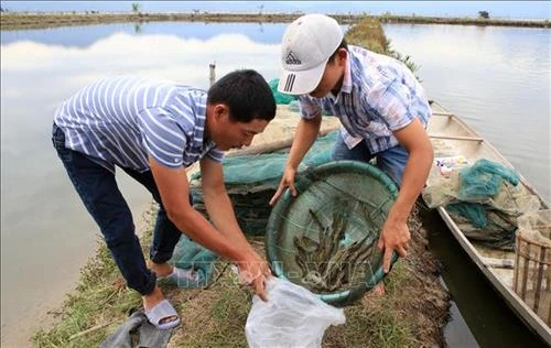 Cà Mau quảng bá thương hiệu các sản phẩm chủ lực